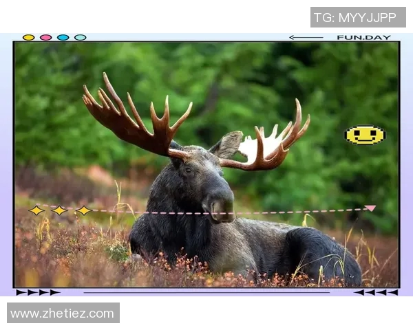 雄鹿在自然生态中的重要角色与保护现状分析